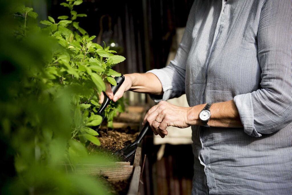 greenhouse gardening with tools GWWHA.jpg